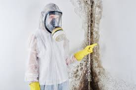 Environmental Consulting for Mold Prevention in Darien, IL